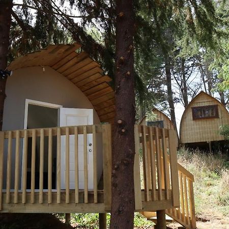 Hamilton Golf Lodge 외부 사진